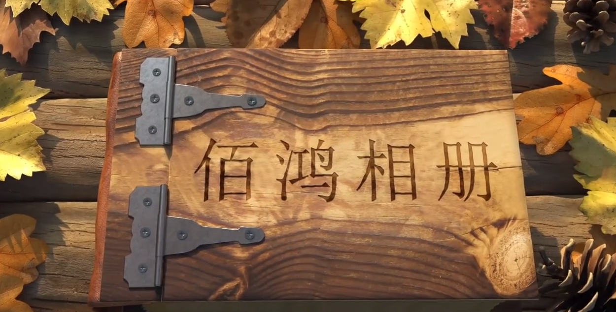 2023-04 九年，從破土而出到碩果累累，從深耕再生醫(yī)學(xué)，到擁有多項(xiàng)技術(shù)專(zhuān)利，從術(shù)業(yè)專(zhuān)攻，到涉獵三大領(lǐng)域九年，時(shí)間長(zhǎng)河里的滄海一粟對(duì)于我們卻是3千多日日夜夜未來(lái)，我們有更多鴻圖…